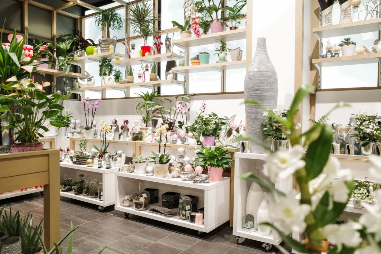 Boutique fleurs et plantes